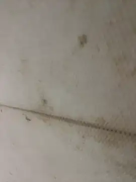 Miu Xinh online show from April 11, 2026, 5:05 pm