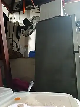 Wildcam21 online show from February 24, 2026, 9:54 am