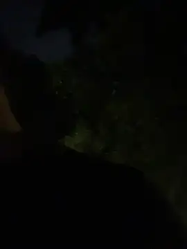 Gael Velaryx online show from April 2, 2026, 3:13 am