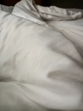 Snapshot of lucky9161 chatting on February 17, 2026, 3:26 am lucky9161 online show from February 17, 2026, 3:26 am