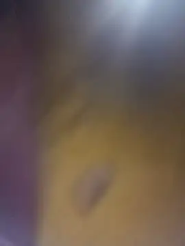 cuunon11 online show from February 18, 2026, 12:08 am