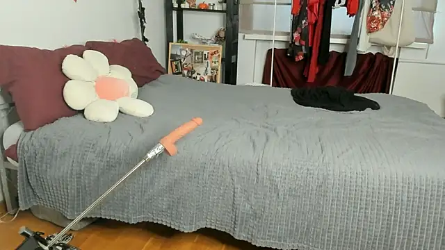 CalmFever online show from February 19, 2026, 1:19 pm