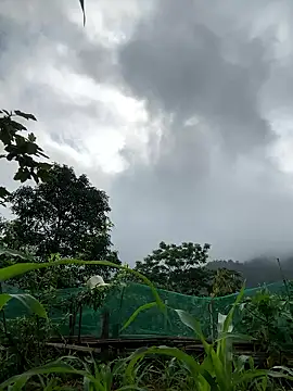 cuty lusy online show from May 21, 2026, 1:25 am