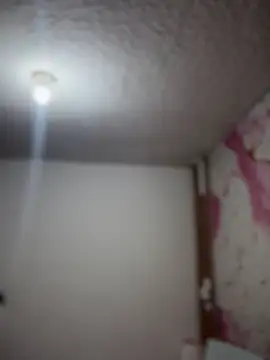 Woo isDaphne online show from March 23, 2026, 11:04 pm