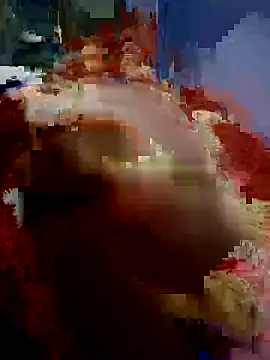 yusu 3 online show from February 25, 2026, 7:14 pm