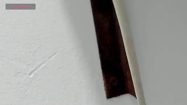 Criistal castro online show from April 6, 2026, 11:33 am