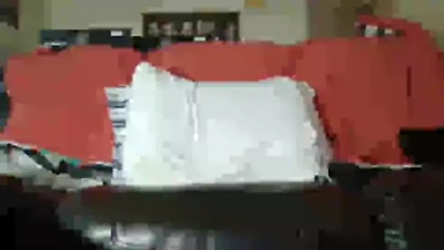 southeastindiann online show from April 14, 2026, 10:53 am