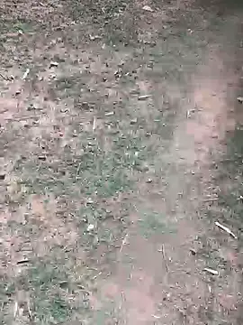 Ankitahd online show from March 26, 2026, 9:18 am