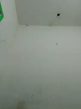 karishma Bhabhi online show from February 20, 2026, 4:20 pm