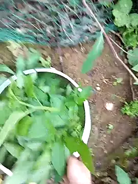 Girl-crazy1 online show from March 9, 2026, 9:35 am