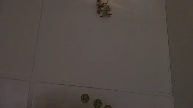 Snapshot of pbilip7787 chatting on February 28, 2026, 9:58 pm pbilip7787 online show from February 28, 2026, 9:58 pm