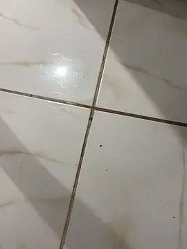 Snapshot of lopes22246 chatting on February 19, 2026, 12:07 am lopes22246 online show from February 19, 2026, 12:07 am