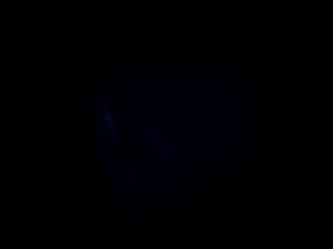 Snapshot of dustbunny64 chatting on March 28, 2026, 8:04 am dustbunny64 online show from March 28, 2026, 8:04 am