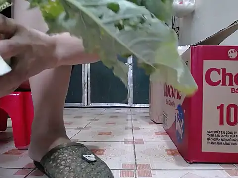 Maila88 online show from February 18, 2026, 12:52 am