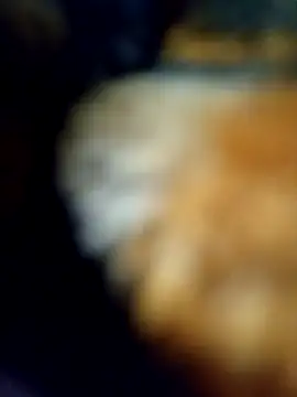 Avinh 09 online show from February 15, 2026, 5:23 pm