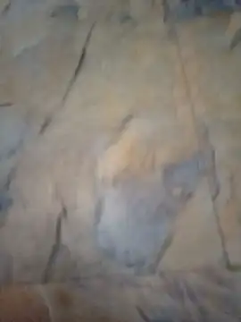 Avinh 09 online show from February 16, 2026, 7:40 am