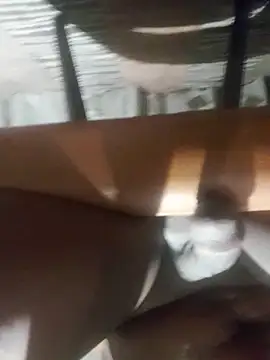 Cookiesucker2025 online show from March 15, 2026, 11:56 pm