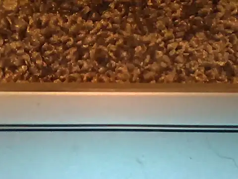 geilgoed2 online show from April 8, 2026, 5:58 pm