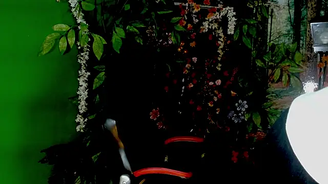 Darkiin FTM online show from February 28, 2026, 3:50 am