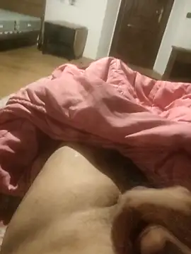 alexandrevictor6969 online show from February 27, 2026, 9:14 pm