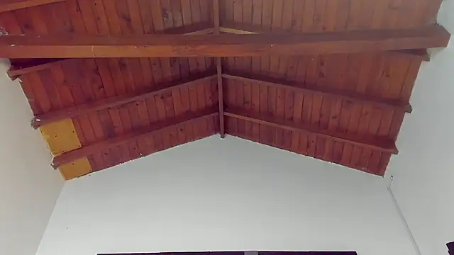 TonyPetrovjs online show from March 26, 2026, 4:44 am