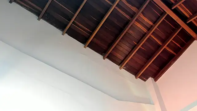 TonyPetrovjs online show from April 1, 2026, 4:58 am