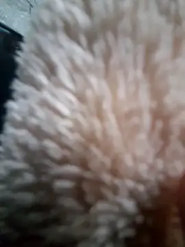 Snapshot of iambesting chatting on February 28, 2026, 11:21 am iambesting online show from February 28, 2026, 11:21 am