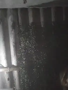 mar coral2 online show from March 28, 2026, 4:02 am