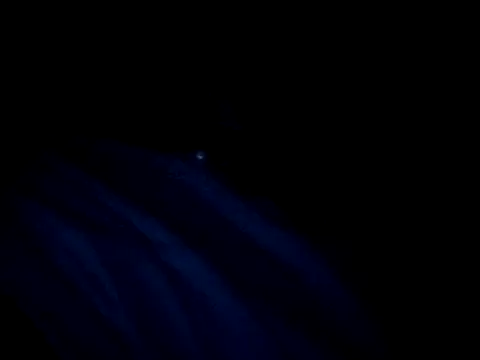 vladsexyguitar online show from March 4, 2026, 1:02 am