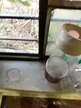 Snapshot of blackbeauty321 chatting on February 26, 2026, 11:21 am blackbeauty321 online show from February 26, 2026, 11:21 am