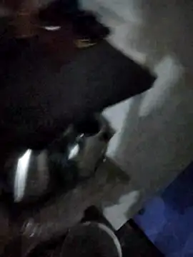 Snapshot of magicmovemen chatting on March 3, 2026, 11:12 pm magicmovemen online show from March 3, 2026, 11:12 pm