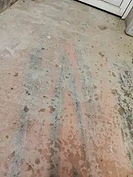 67sanju online show from March 2, 2026, 12:23 pm