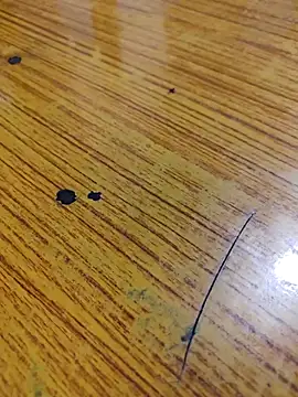 67sanju online show from February 24, 2026, 1:12 pm