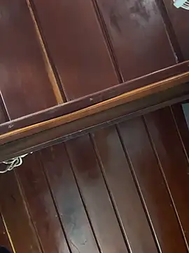 Snapshot of Slvbot202 chatting on February 25, 2026, 12:49 pm Slvbot202 online show from February 25, 2026, 12:49 pm