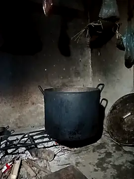 pic8800 online show from March 31, 2026, 7:10 am