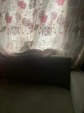 qczband online show from April 16, 2026, 7:09 am