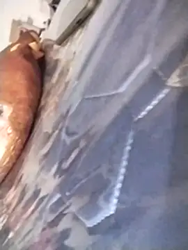 Hunkytop online show from February 28, 2026, 7:13 pm