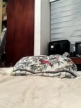 Snapshot of davidalejandrocastillo chatting on February 27, 2026, 6:35 am davidalejandrocastillo online show from February 27, 2026, 6:35 am