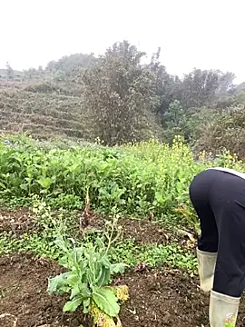 Annhiene online show from March 11, 2026, 3:22 am