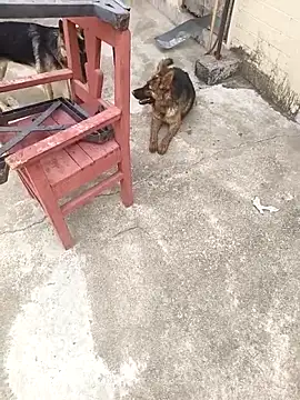 Snapshot of mylove202022 chatting on March 15, 2026, 2:07 am mylove202022 online show from March 15, 2026, 2:07 am