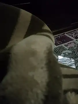 Pop1977 online show from April 9, 2026, 12:55 pm