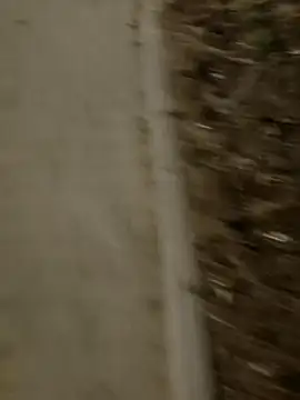 Snapshot of MarekPublicShow chatting on March 3, 2026, 9:44 pm MarekPublicShow online show from March 3, 2026, 9:44 pm