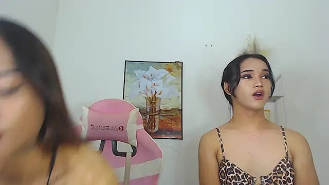 MaterialDuoTransxxx online show from March 26, 2026, 10:02 am