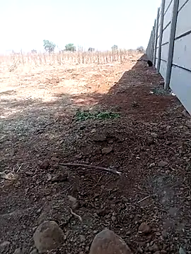 new sexy couple online show from March 13, 2026, 8:19 am