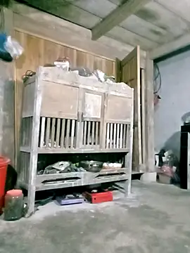 hasaki001 online show from March 27, 2026, 10:22 pm