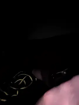 skizzoboy6 online show from March 23, 2026, 4:01 am