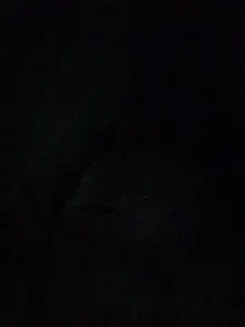 -Mikaaa- online show from March 16, 2026, 5:37 am