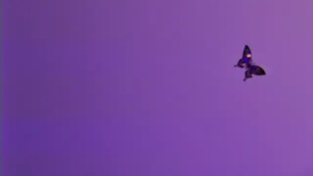 AmelieReeaa online show from April 18, 2026, 4:09 pm