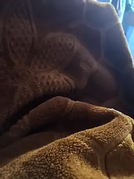 sexy-girl147 online show from April 5, 2026, 9:10 pm