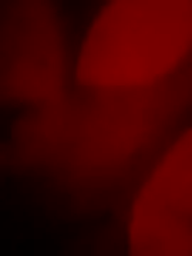 goldboy 0069 online show from April 11, 2026, 5:48 am